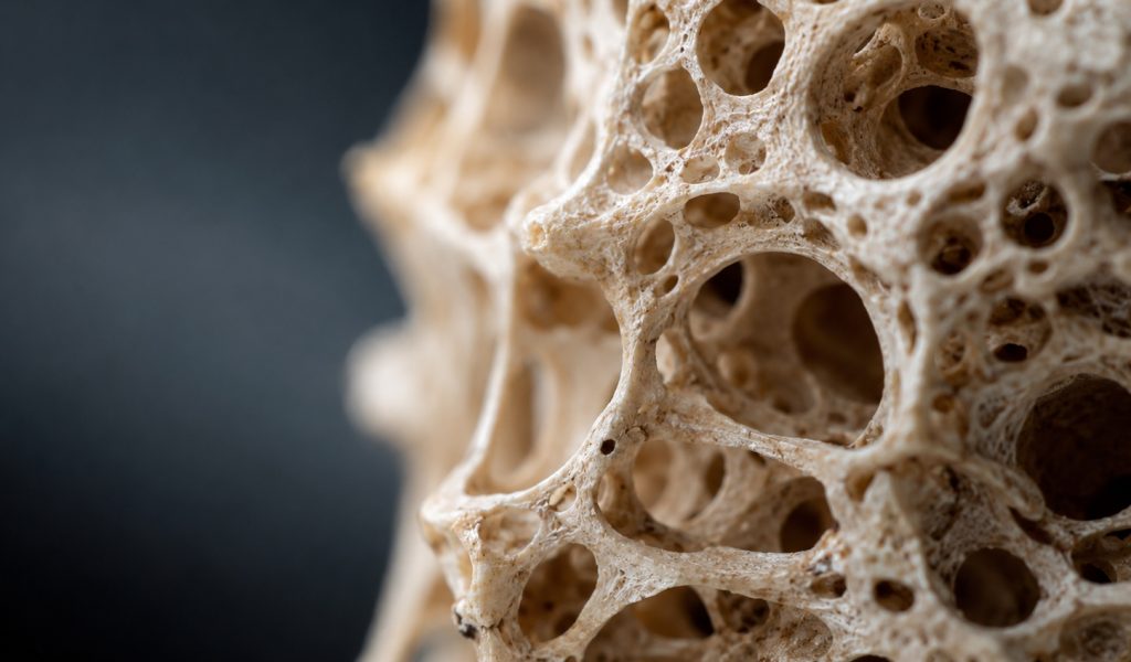 Intricate porous structure in focus