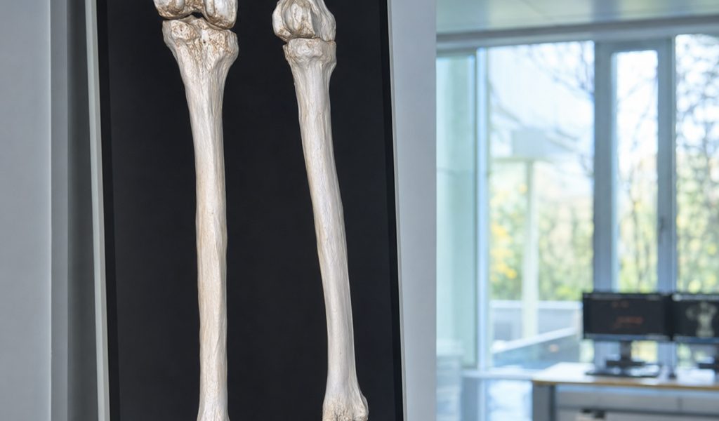 Modern medical imaging in a clinical office